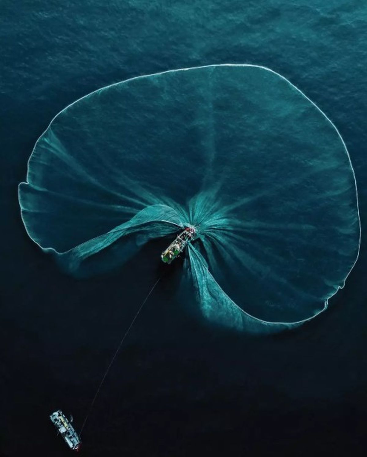 El autor pudo captar una sorprenden imagen que evidencia una denuncia. El autor pudo captar una sorprenden imagen que evidencia una denuncia.