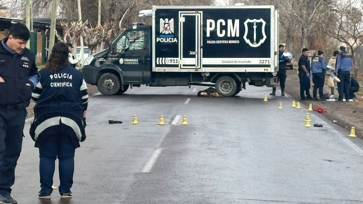 Un hombre murió tras ser atropellado por el conductor de un vehículo que escapó rápidamente.