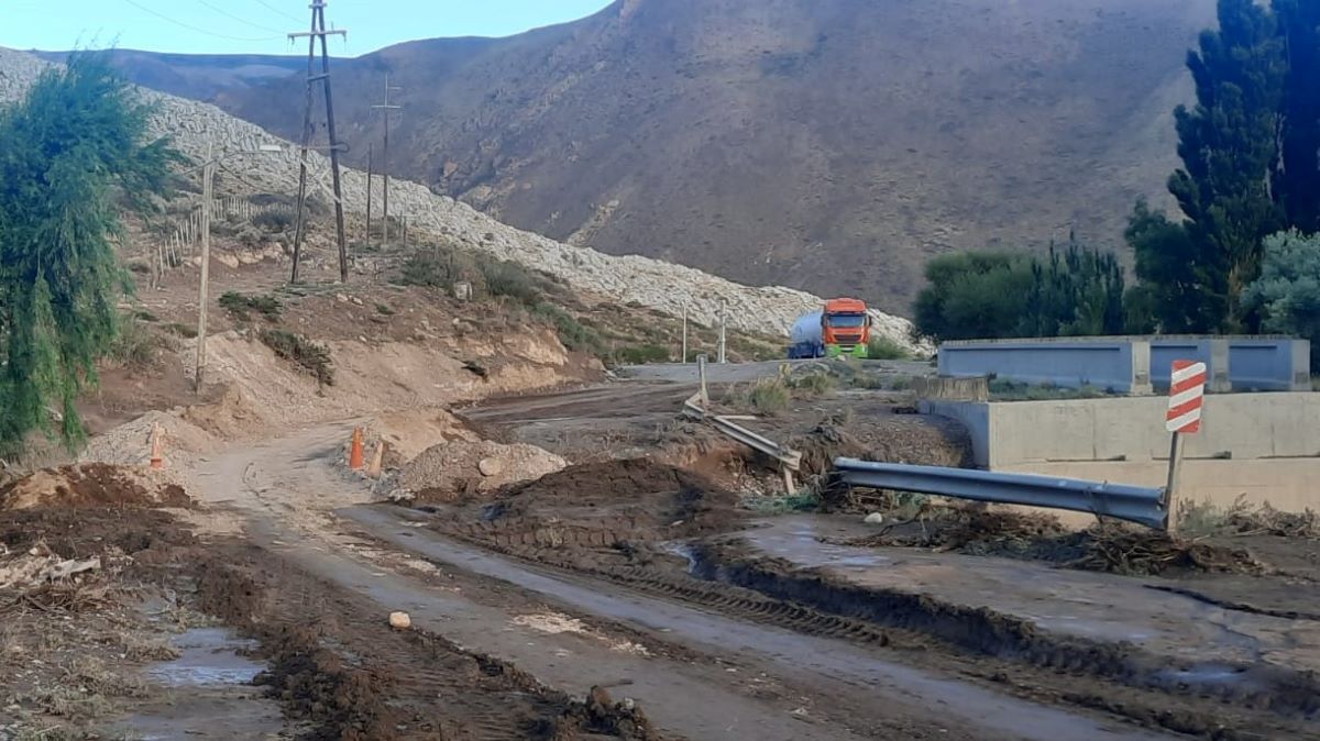 En El Pehuenche vive la ranita, un anfibio único en el mundo que depende de condiciones hídricas muy específicas que se han visto alteradas por la intervención humana y las sequías prolongadas. En El Pehuenche vive la ranita, un anfibio único en el mundo que depende de condiciones hídricas muy específicas que se han visto alteradas por la intervención humana y las sequías prolongadas.
