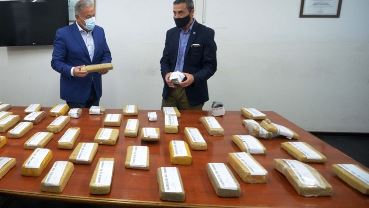 La cartera conducida por Raúl Levrino informo sobre los secuestros de drogas en Mendoza.