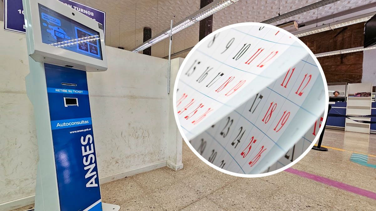 ANSES tiene a su cargo, entre otras tareas, el otorgamiento y pago de jubilaciones y pensiones. Pago de Asignaciones Familiares a trabajadores en actividad, desempleados, jubilados y pensionados. Gesti&oacute;n y liquidaci&oacute;n de la Prestaci&oacute;n por Desempleo.
