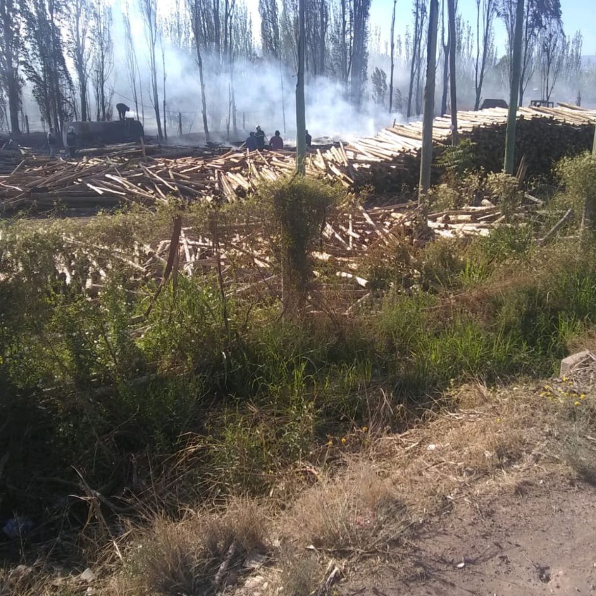 El personal de bomberos, una vez sofocadas las llamas, se quedó a hacer la guardia de cenizas correspondiente en la maderera de Luján de Cuyo.