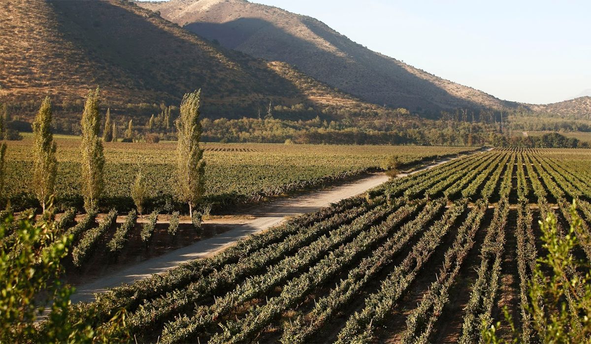 No es la primera vez que el Grupo Sarmiento cruza a Bodegas de Argentina por el uso del agua para la minería y la vitivinicultura. No es la primera vez que el Grupo Sarmiento cruza a Bodegas de Argentina por el uso del agua para la minería y la vitivinicultura.