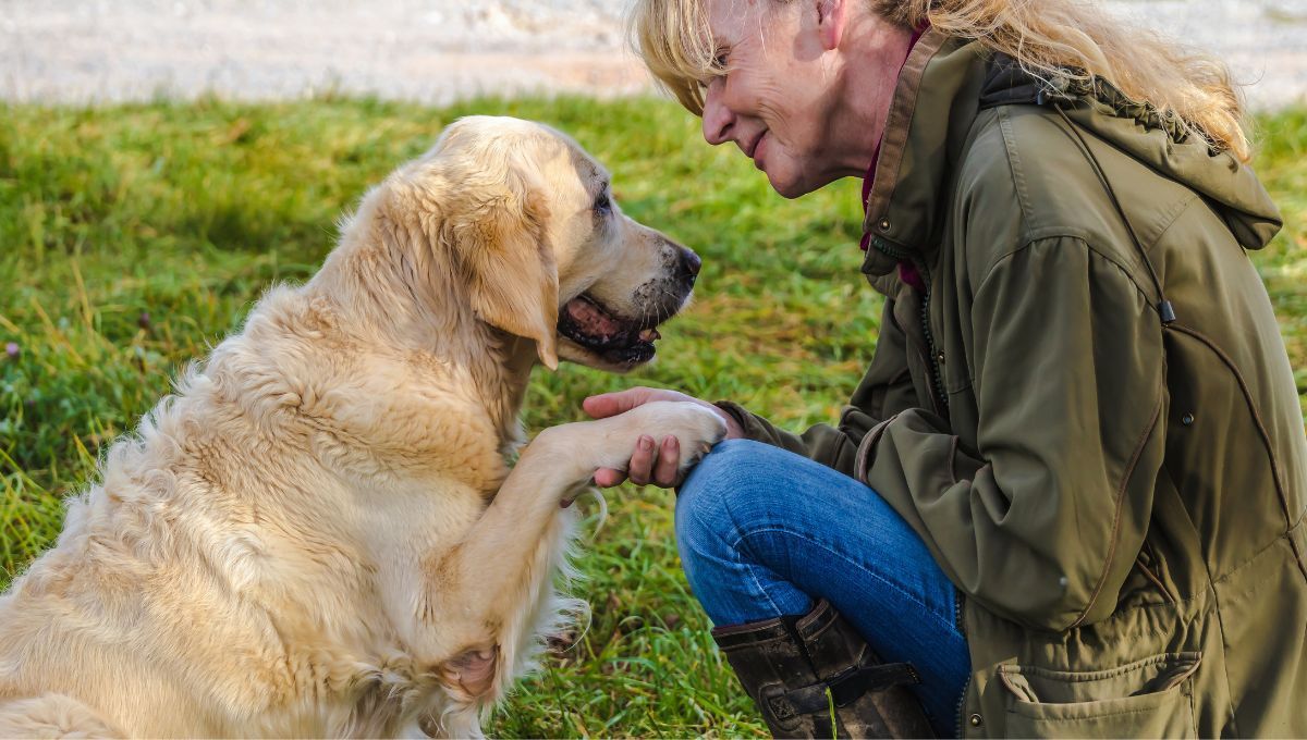 Qué significa cuando un perro apoya la pata sobre su dueño