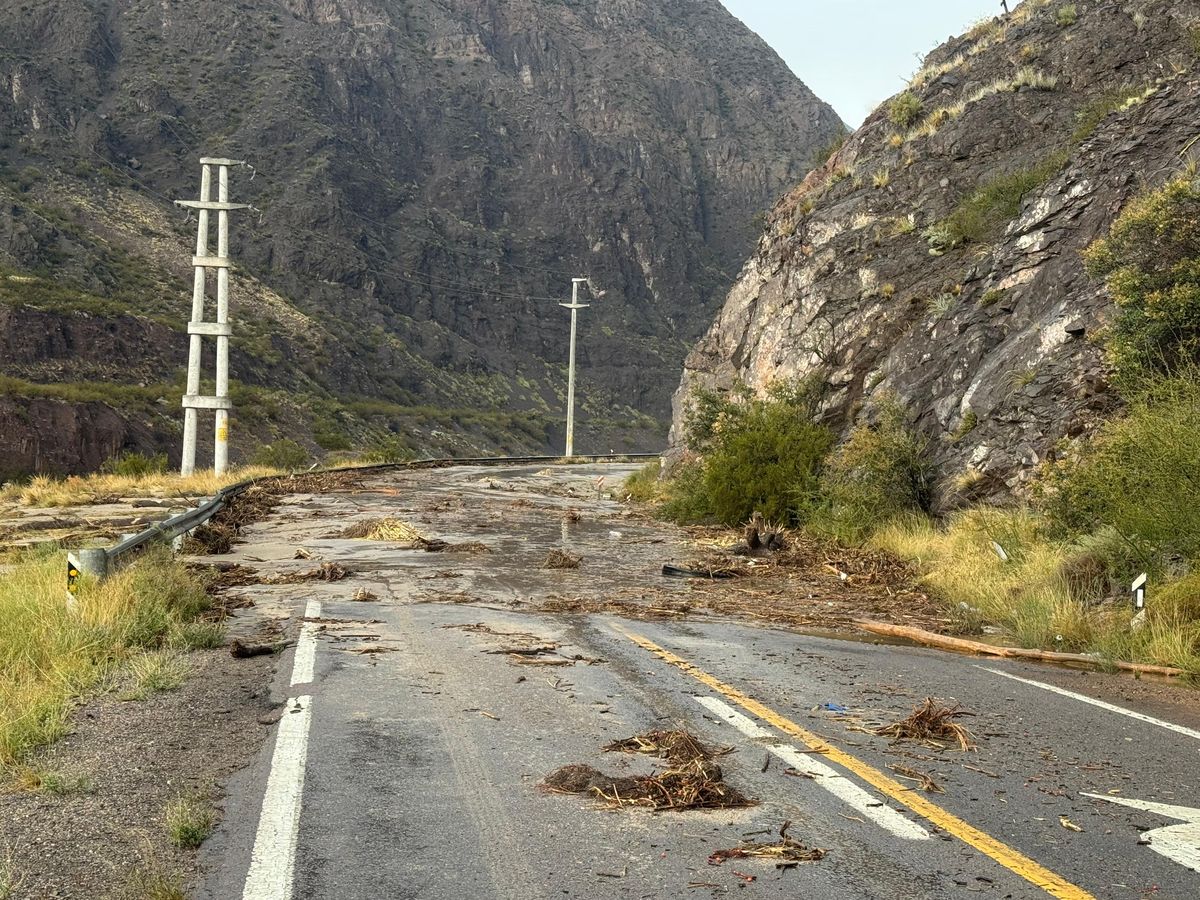 Vialidad Nacional trabajó en el despeje de la Ruta 7. Vialidad Nacional trabajó en el despeje de la Ruta 7.