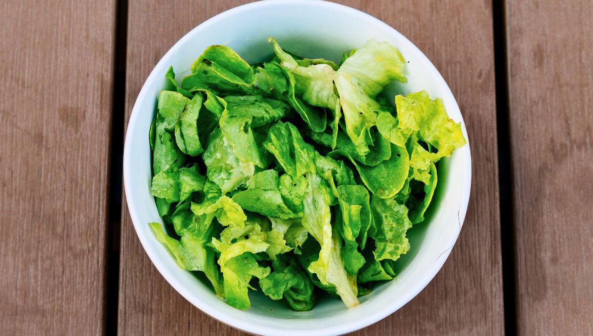 La lechuga es un vegetal sin cáscara que debe lavarse y desinfectarse correctamente. La lechuga es un vegetal sin cáscara que debe lavarse y desinfectarse correctamente. 