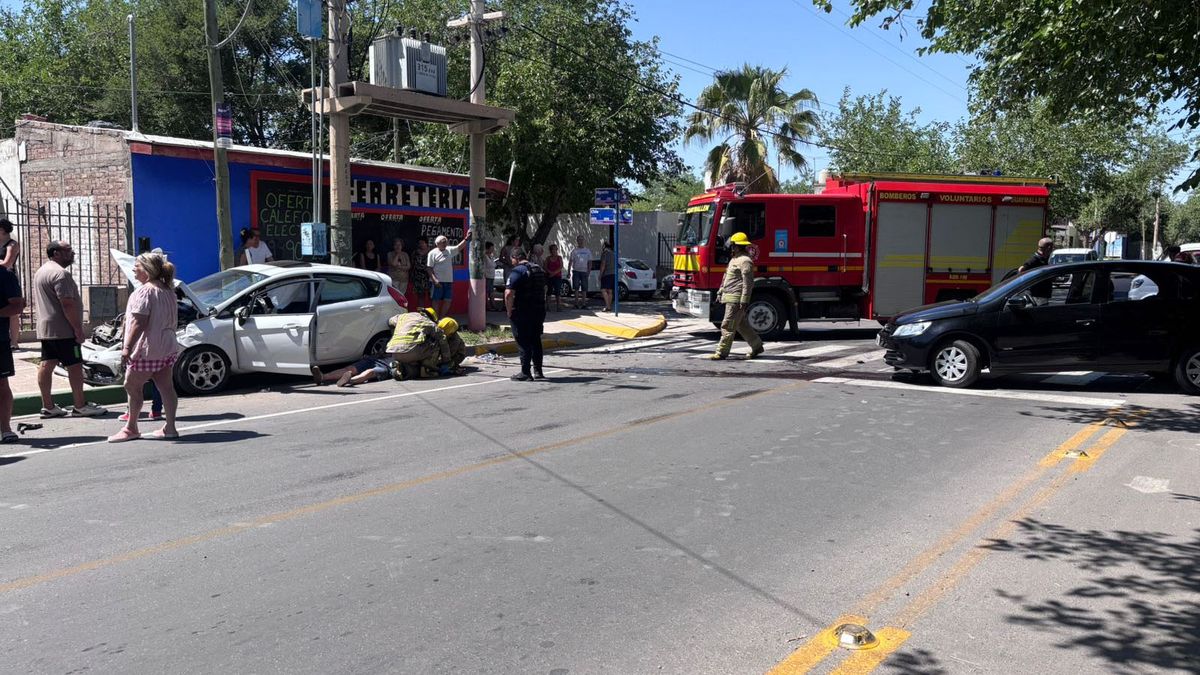 Un accidente terminó con un hombre herido y un perro muerto cuando era llevado a la veterinaria