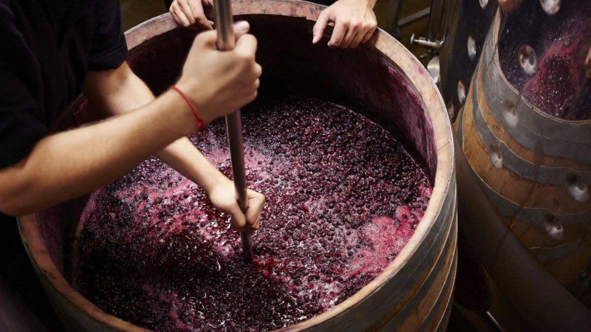 El mosto, en el glosario del INV. El mosto, en el glosario del INV.