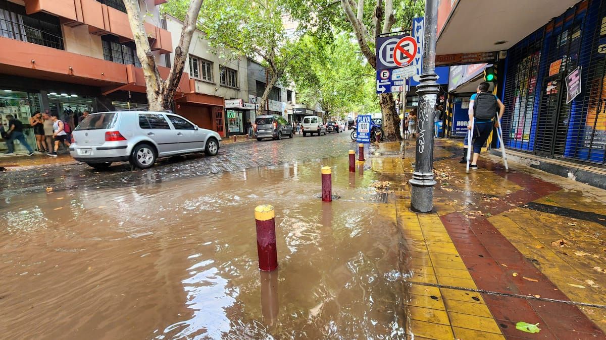 Lluvias abundantes por la tormenta de Santa Rosa: consejos para conducir y manejarse en el hogar