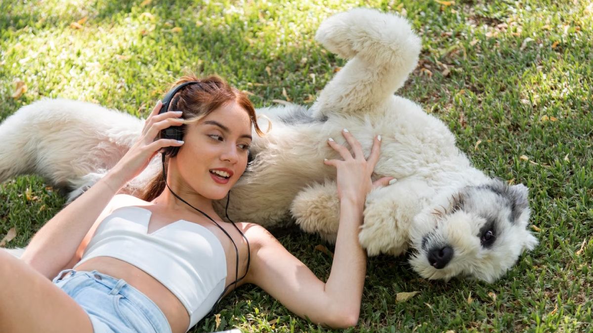 Las señales de que sos la persona favorita de tu perro. Las señales de que sos la persona favorita de tu perro.