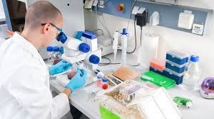 Ciencia. Investigadores argentinos clonaron&nbsp;