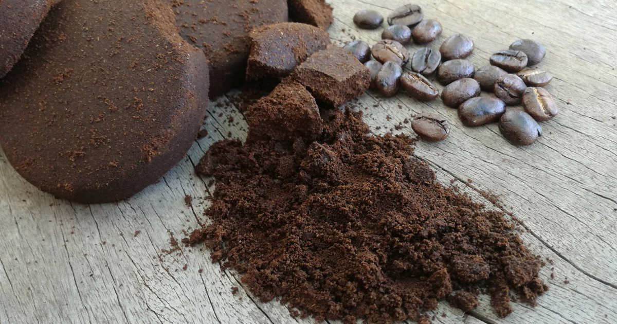 Colocar café en el inodoro: el controvertido truco que puede ocasionar problemas en casa Colocar café en el inodoro: el controvertido truco que puede ocasionar problemas en casa