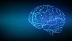 El hábito nocturno clave para cuidar tu cerebro y preservar la memoria