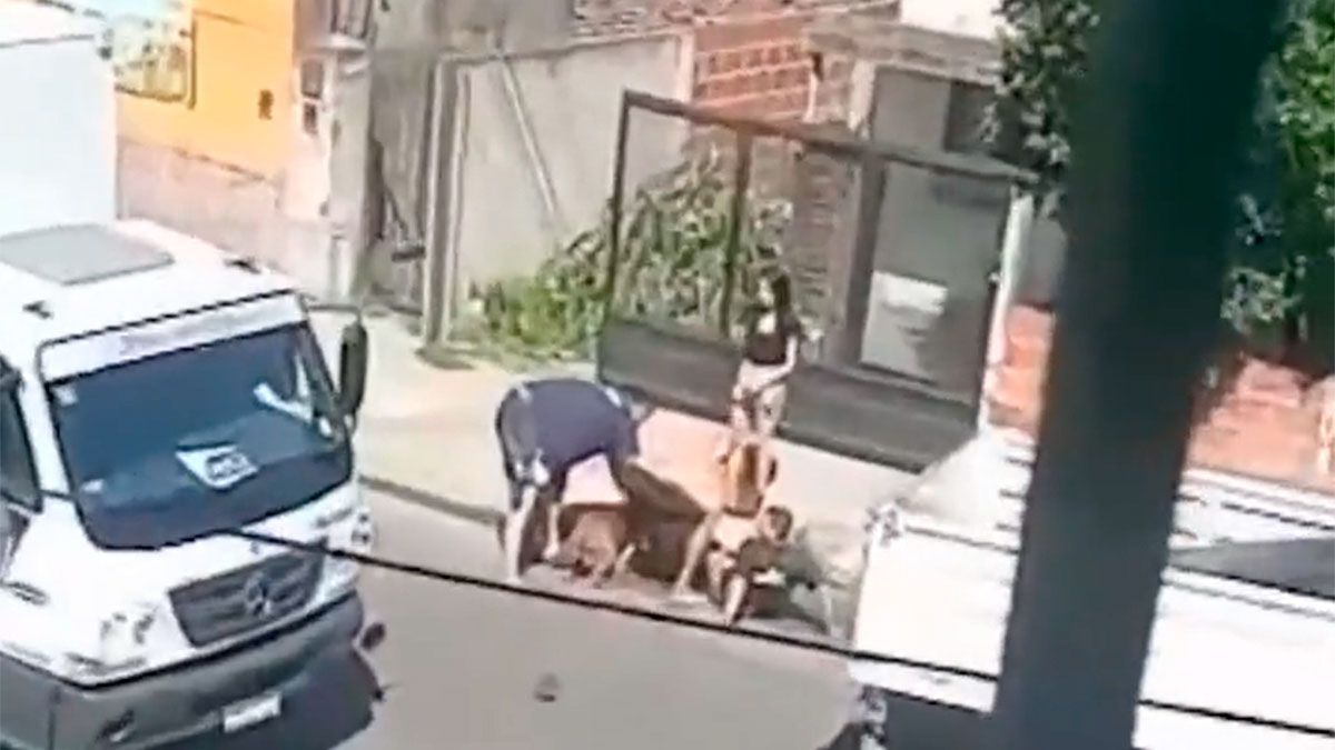 Un hombre fue atacado por un pitbull en la calle y sufrió heridas de gravedad.
