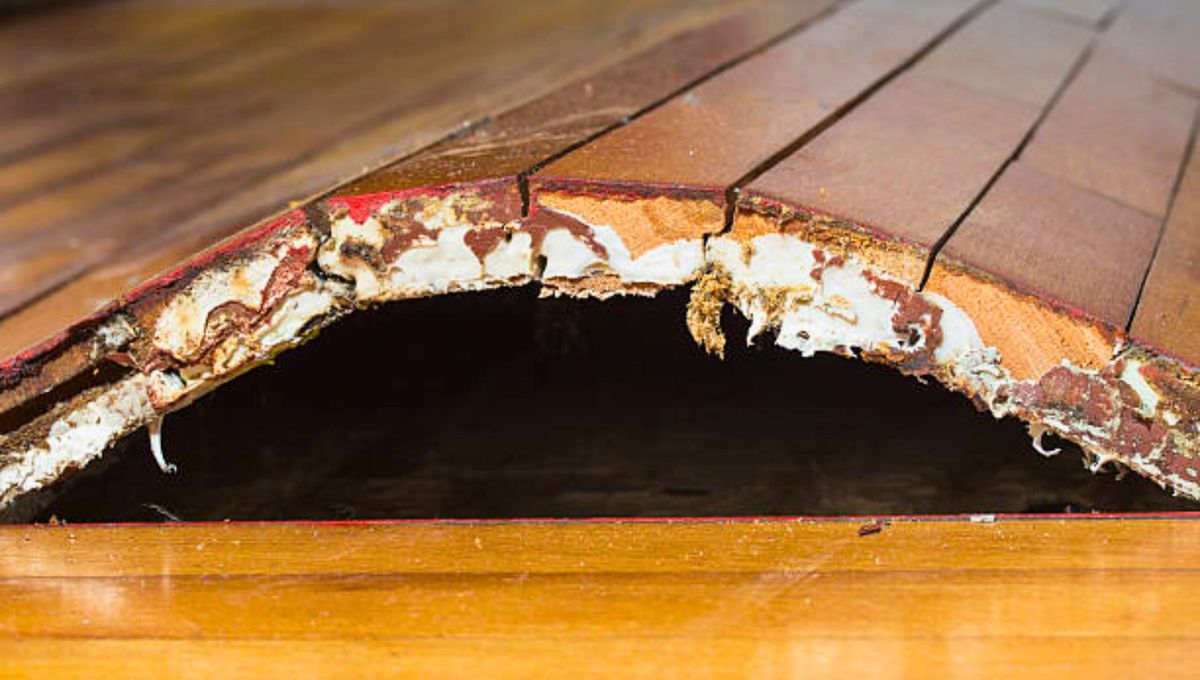 La madera se hincha por el exceso de humedad y los cambios de temperatura a los que se expone La madera se hincha por el exceso de humedad y los cambios de temperatura a los que se expone