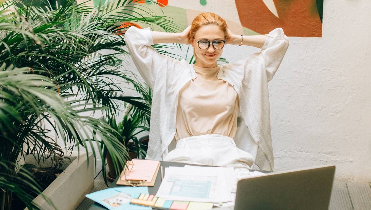 ¿Cuáles son las 10 plantas purificadores de aire?