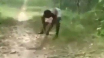 Un padre enfurecido por la muerte de su hijo mató una cobra con sus propias manos