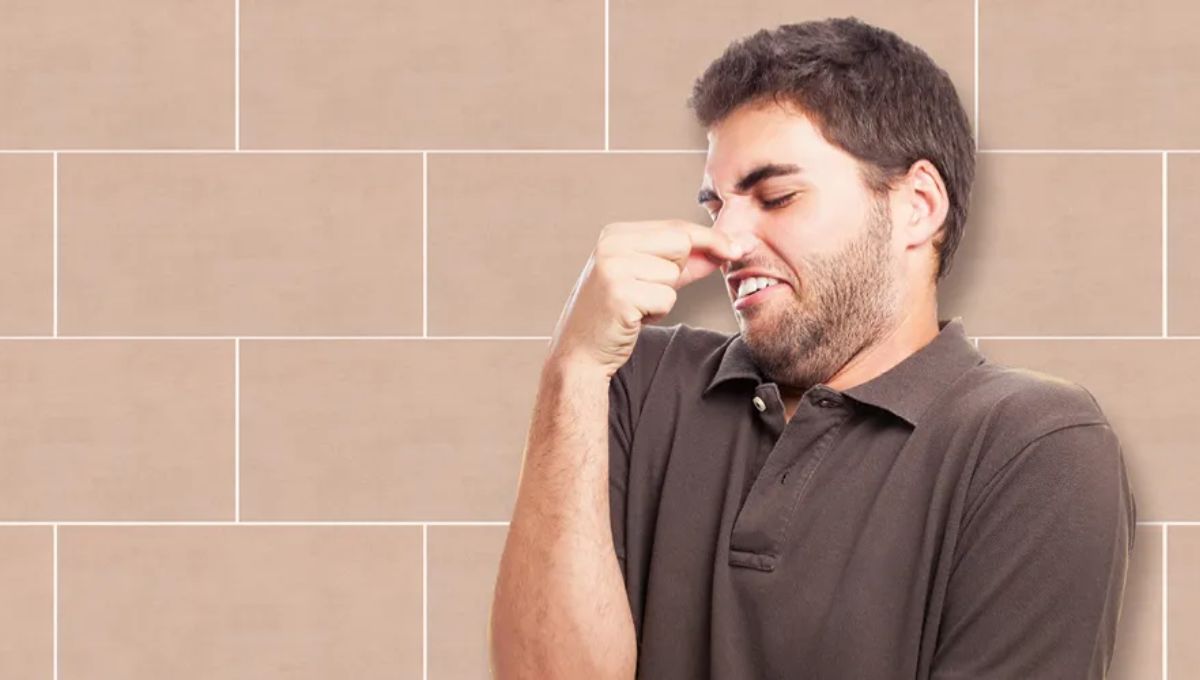 Esta mezcla puede ser efectiva para eliminar los malos olores en distintos espacios adentro de tu casa. Esta mezcla puede ser efectiva para eliminar los malos olores en distintos espacios adentro de tu casa.