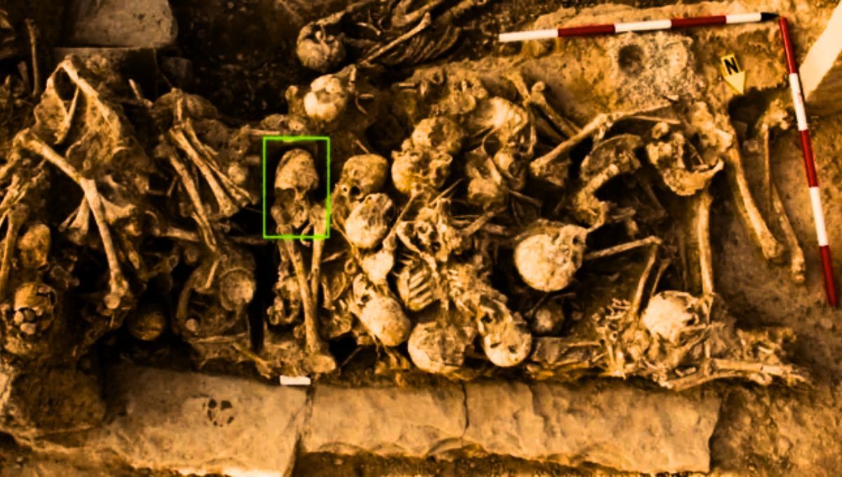 El cráneo del descubrimiento tiene más de 6.000 años de antigüedad