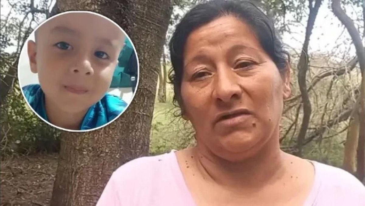 Ordenaron el traslado de Laudelina Peña, implicada en el caso Loan, desde Ezeiza al Penal Federal de Mendoza.