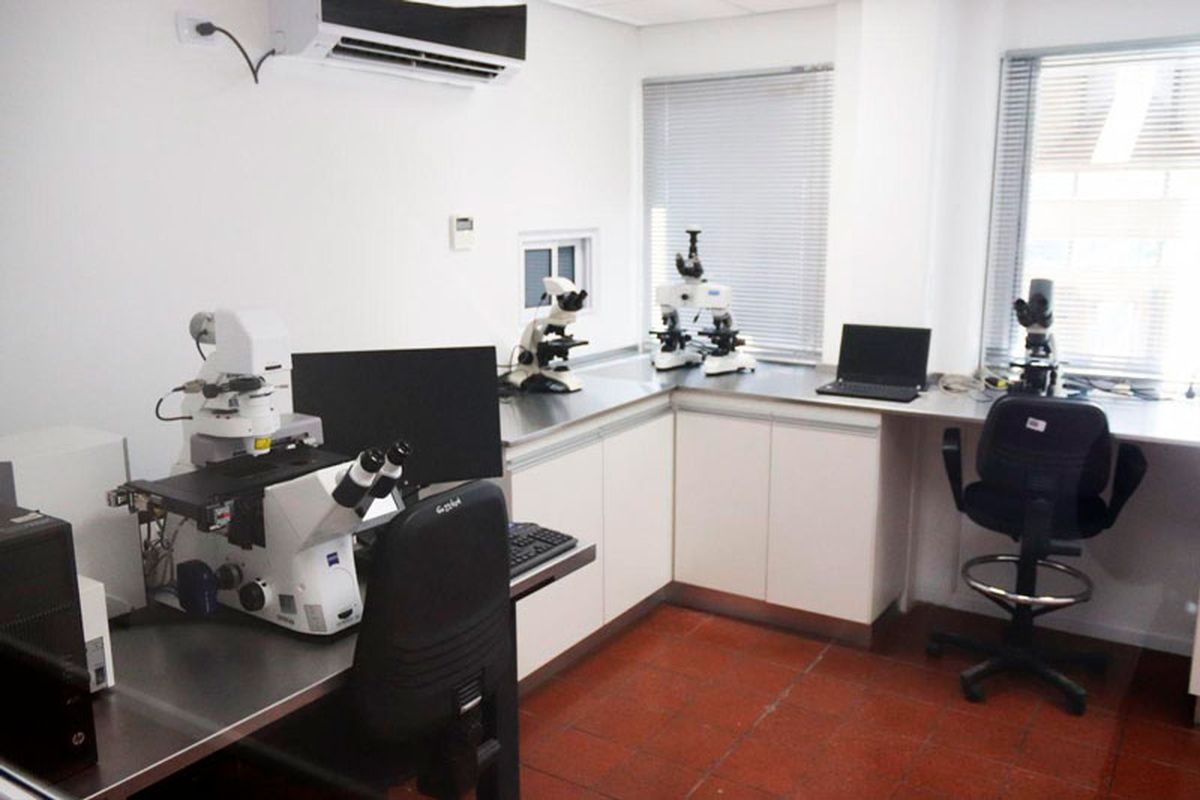 El Laboratorio de Huellas Gen&eacute;ticas Forense fue clave en la causa de abuso sexual.
