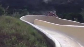 Video: casi una tragedia en un tobogán acuático