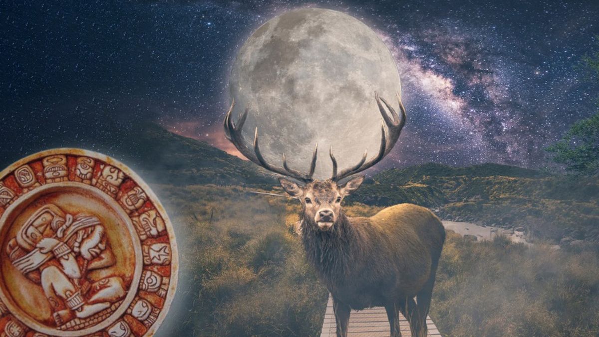 Horóscopo maya: los 5 animales bendecidos por la Luna Llena de octubre