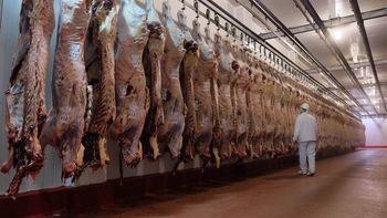 Mendoza rechaza las restricciones a la exportación de carne