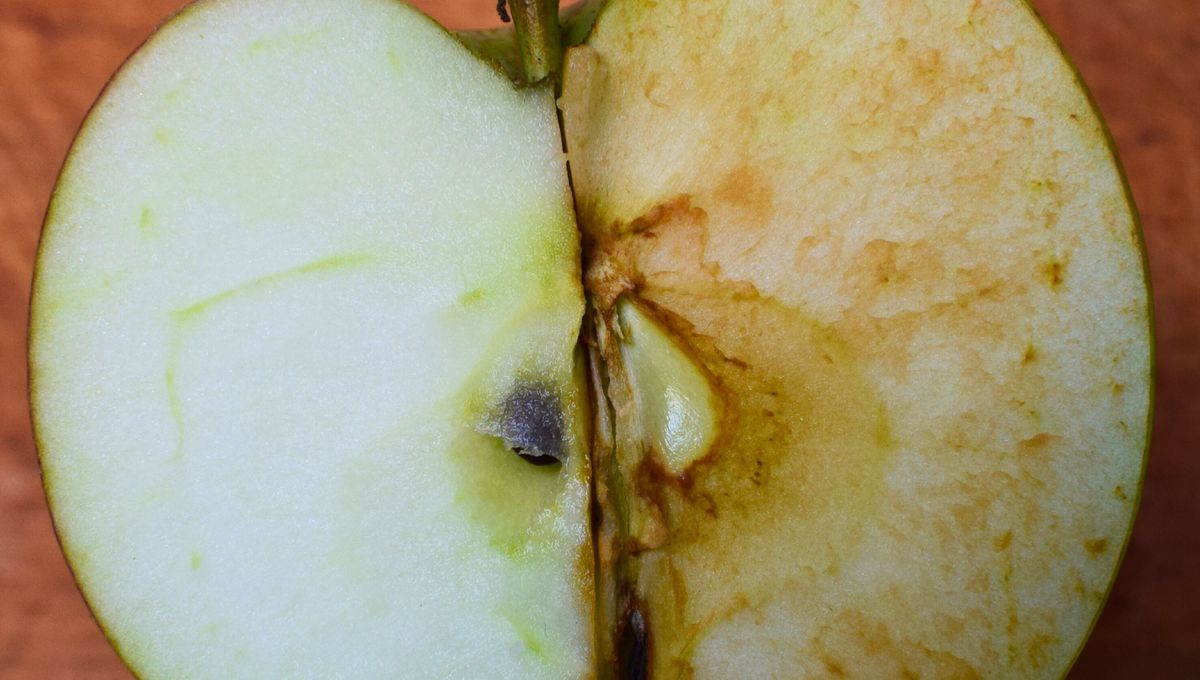 Las manzanas se oxidan por un proceso químico natural. Las manzanas se oxidan por un proceso químico natural. 