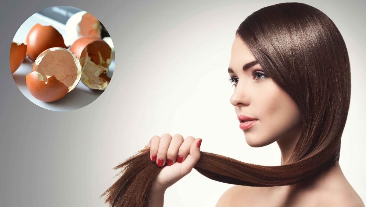 Cómo fortalecer el cabello usando una mezcla con cáscara de huevo: pasta casera efectiva