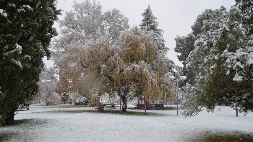 Las imágenes que dejó la nieve en Mendoza