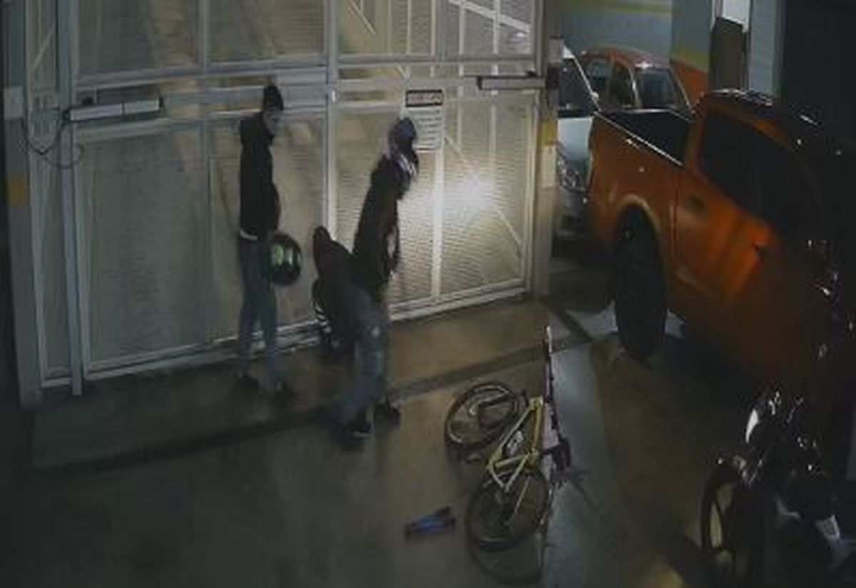 Es el tercer robo en cinco meses en el Procrear de Ciudad. Es el tercer robo en cinco meses en el Procrear de Ciudad.