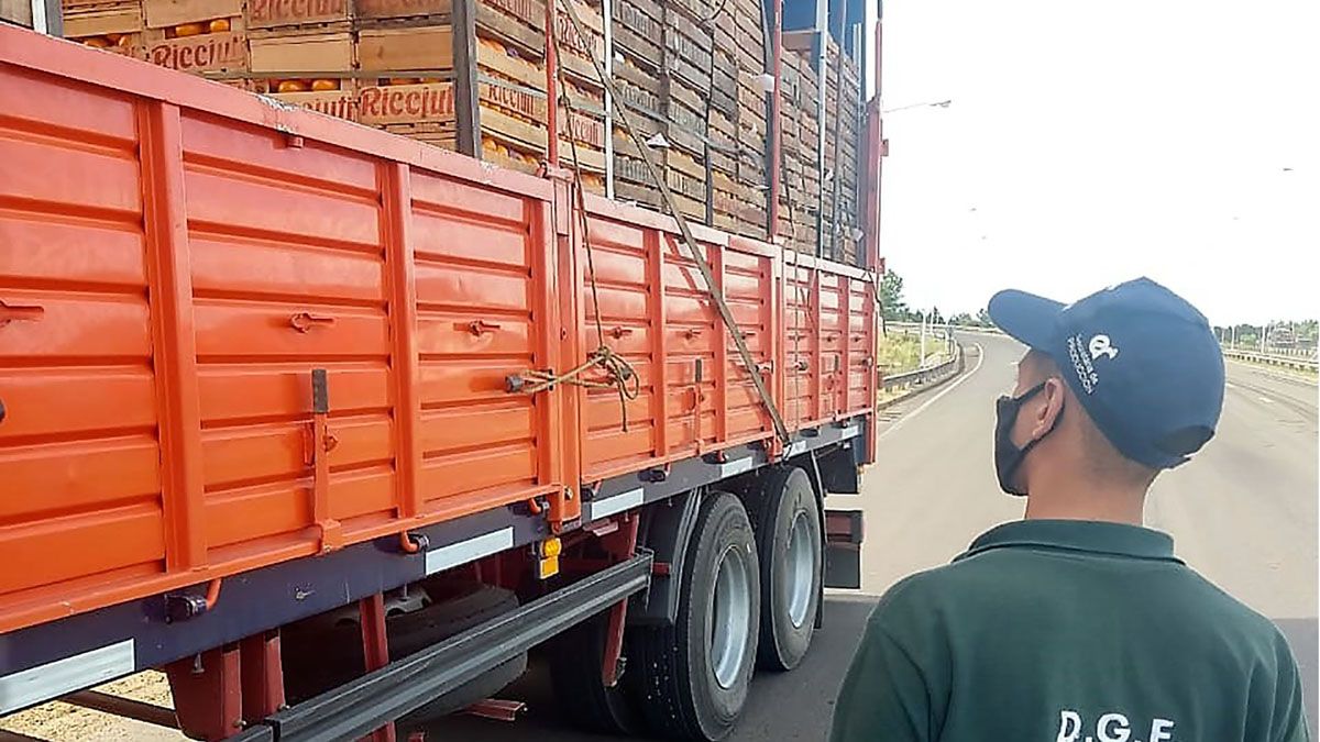 Desde el Norte llegan a Mendoza los camiones con cítricos y verduras.