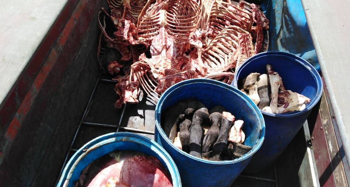 Matadero. Faenaban caballos y con la carne vendían hamburguesas.