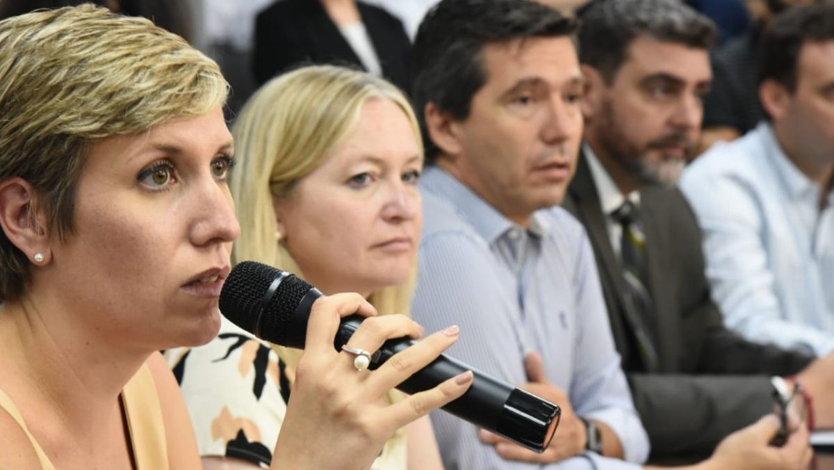 Jimena Latorre abrió la serie de diálogos en la Legislatura para destrabar el proyecto. 