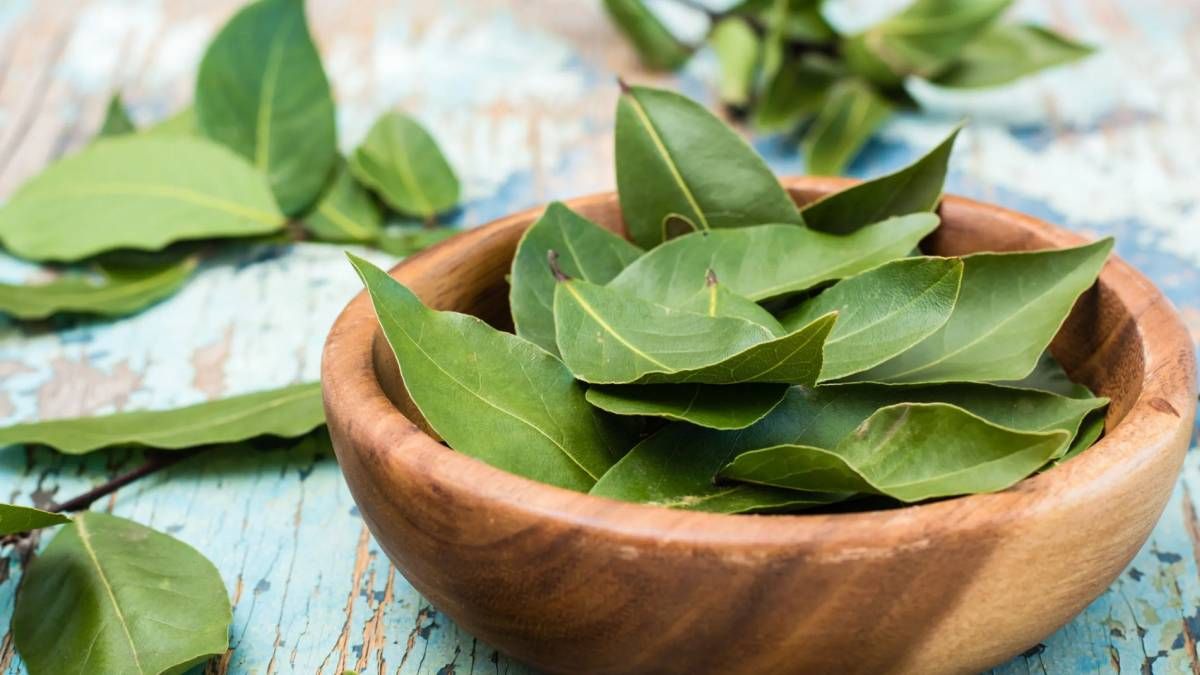 Para vivir en abundancia y ser un imán del dinero, el Feng Shui recomienda que tengas en cuenta estas prácticas con el laurel. Para vivir en abundancia y ser un imán del dinero, el Feng Shui recomienda que tengas en cuenta estas prácticas con el laurel.