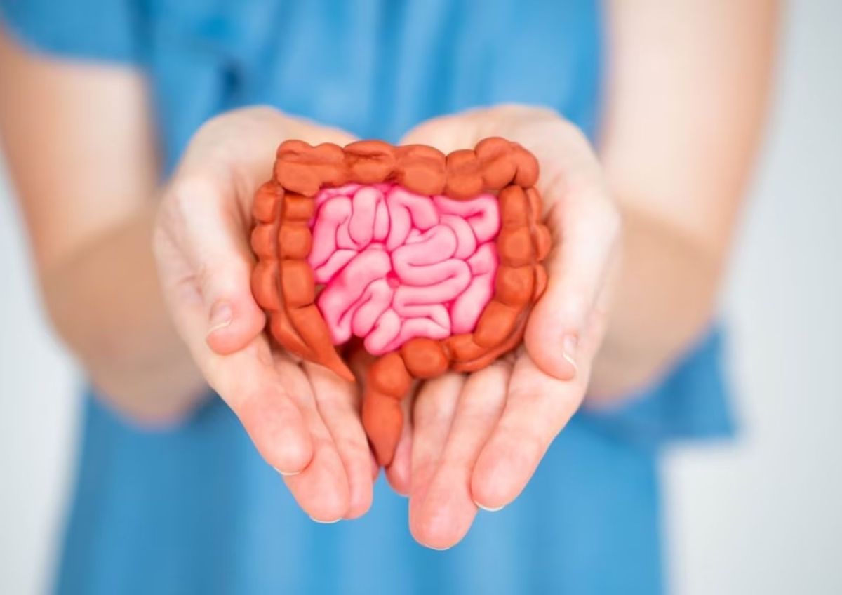 Las frutas con amplios beneficios para la salud