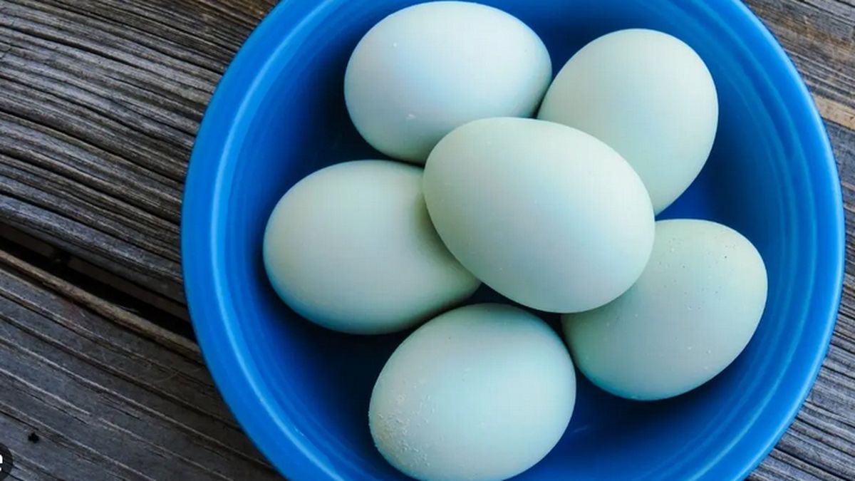 Toma aire si encuentras un huevo azul en la verdulería