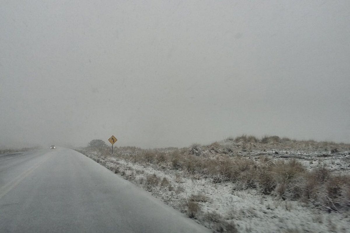 Evita salir durante una ola polar Evita salir durante una ola polar