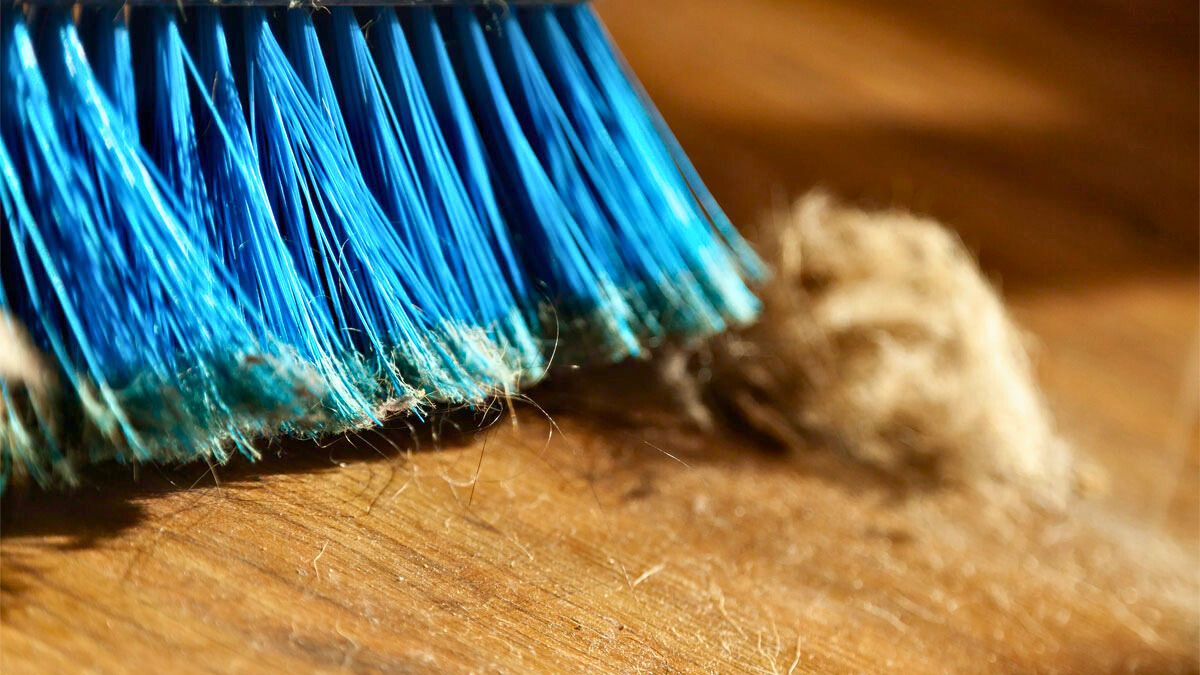 Limpiar el polvo y la pelusa de la casa, es una tarea muy engorrosa de realizar.