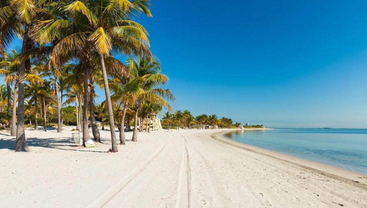 Playa para ir con mascotas en Miami