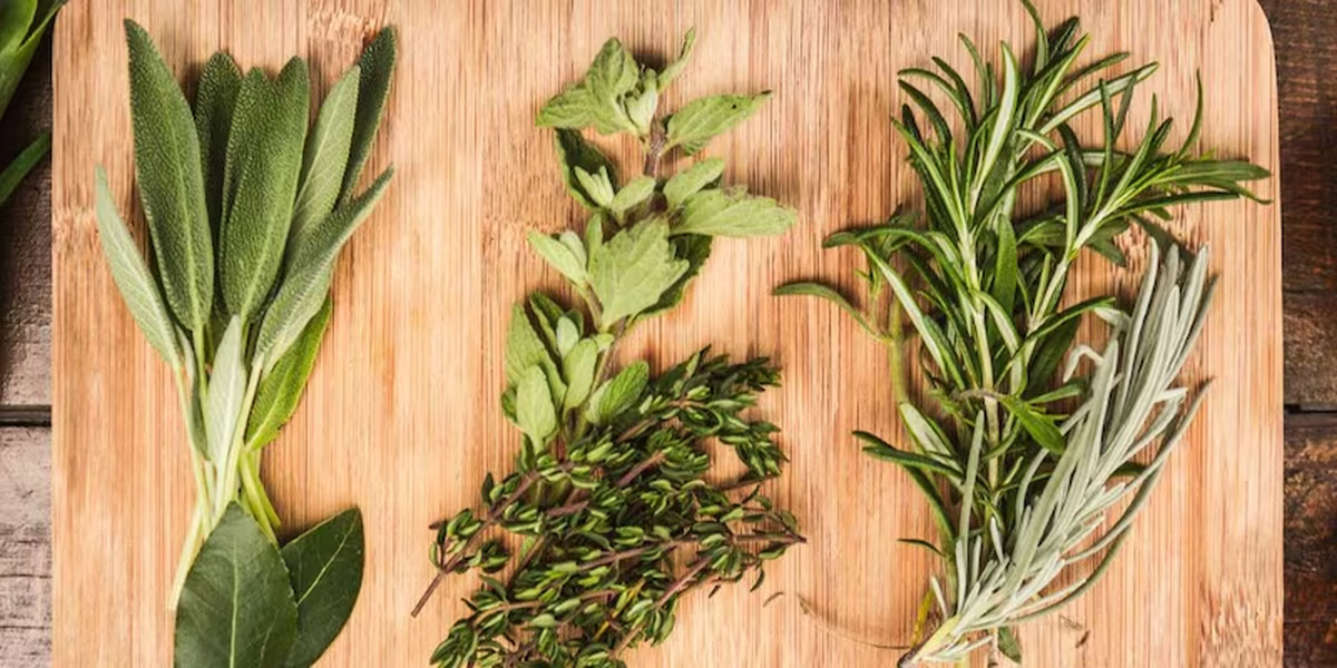 La mezcla de romero con laurel puede darte grandes beneficios en múltiples sentidos. La mezcla de romero con laurel puede darte grandes beneficios en múltiples sentidos. 