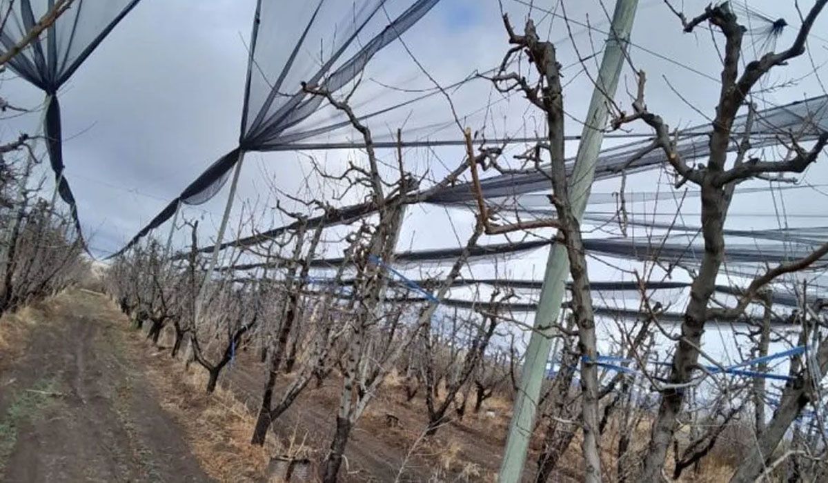 Dudas y certezas sobre la intempestiva baja de los aviones antigranizo y su reemplazo por créditos