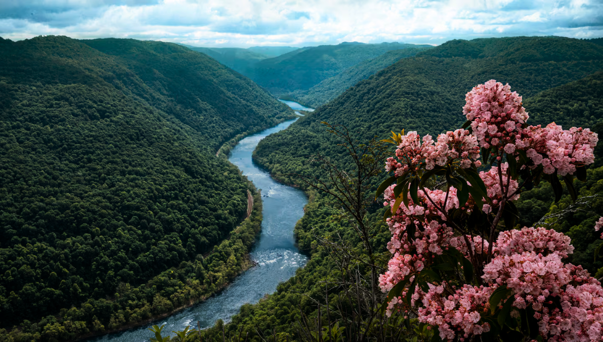 Un pueblo de Estados Unidos paga 12.000 dólares por vivir allí