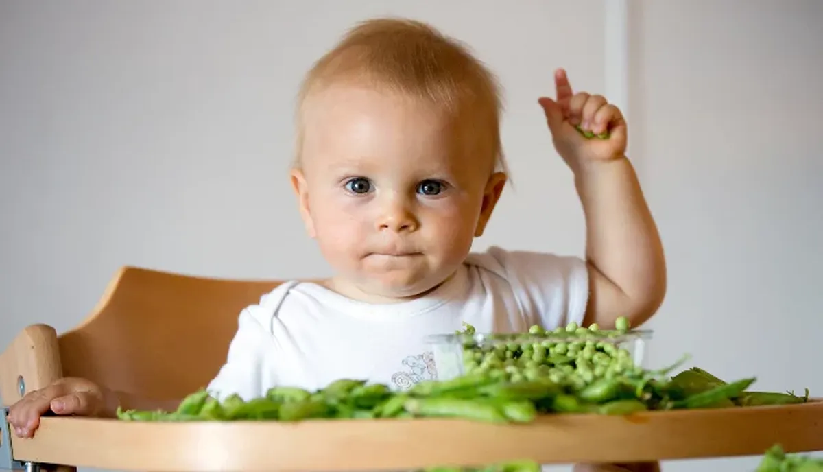Lo mejor que pueden hacer los padres es acostumbrar a los niños a consumir estos alimentos desde pequeños. Lo mejor que pueden hacer los padres es acostumbrar a los niños a consumir estos alimentos desde pequeños.
