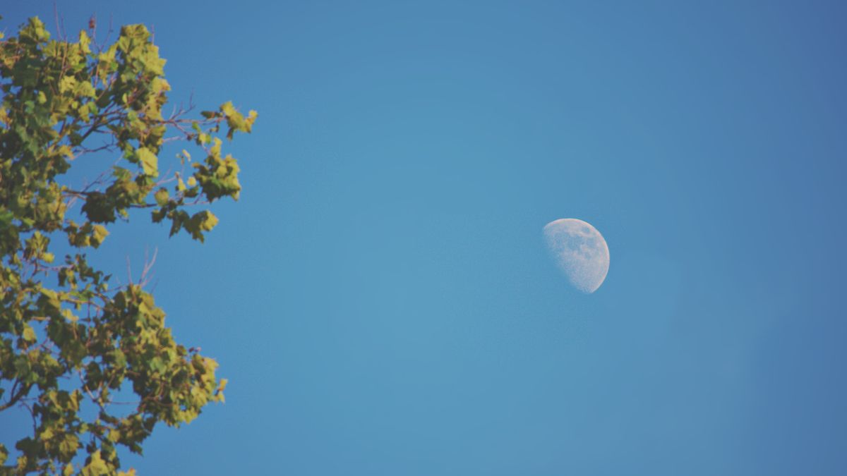 La Luna de día es un fenómeno sumamente normal.