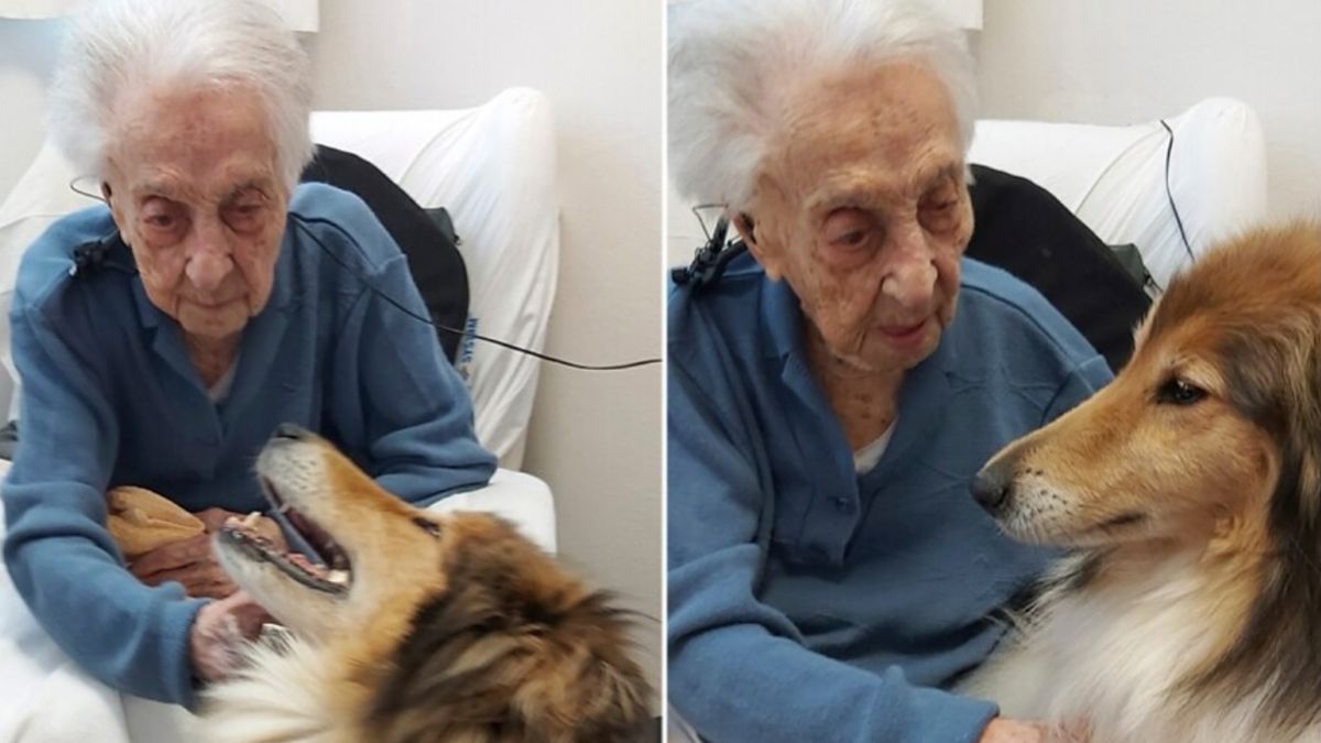 María Branyas murió en una residencia para mayores de Cataluña, como ella quería: mientras dormía, tranquila y sin dolor María Branyas murió en una residencia para mayores de Cataluña, como ella quería: mientras dormía, tranquila y sin dolor