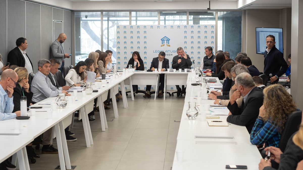 En el Senado comenzó el debate de la reforma del Estatuto del Empleado Pública propuesta por Alfredo Cornejo.