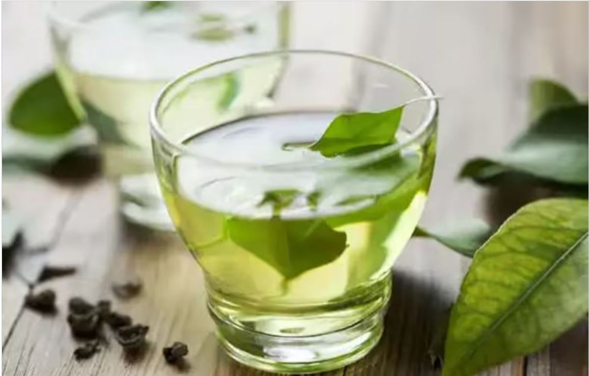 Beneficio de tomar té de boldo. Beneficio de tomar té de boldo.