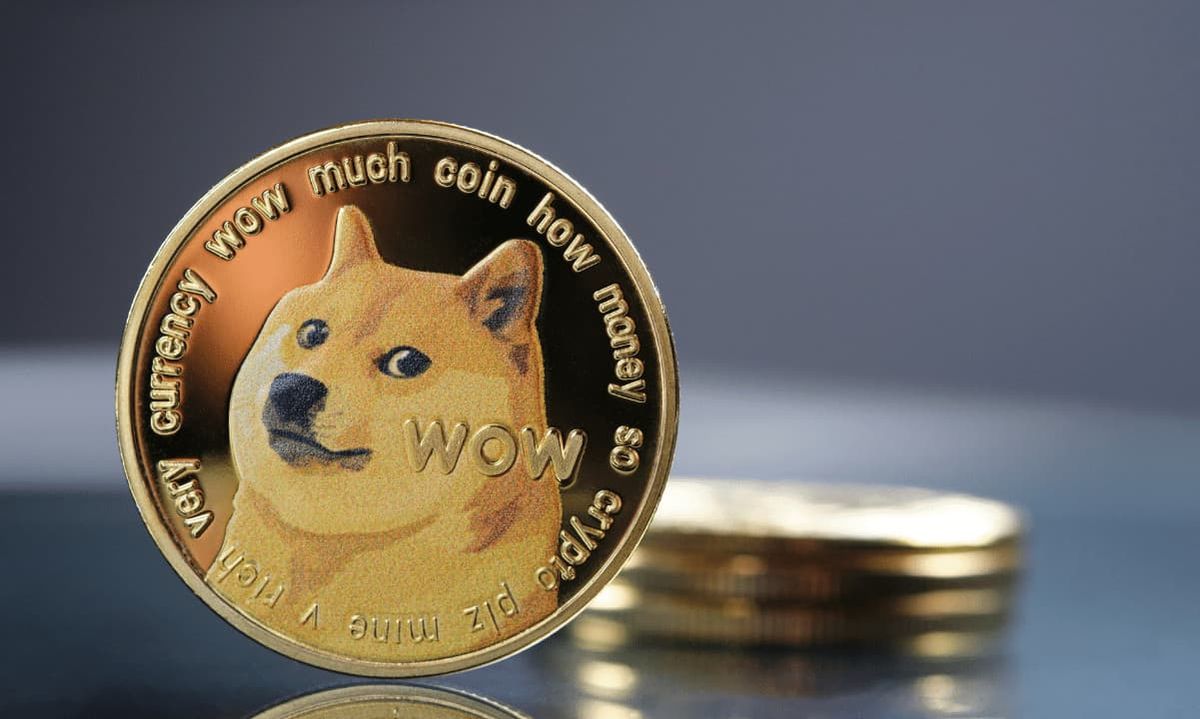 DOGE, la criptomoneda de ELON MUSK, vale cada vez más: CUÁNTO SALDRÁ a fin  de año